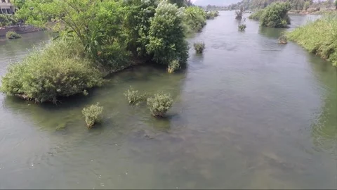 Flooded trees in Mekong river, Don Khon and Don Det islands, Si Phan Don, Laos Video stock 169011300