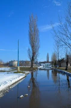 Flooded winter road with tree reflections Stock-Fotos