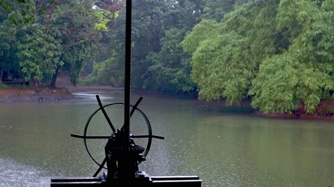 Floodgate at urban forest Stock Footage 236979003