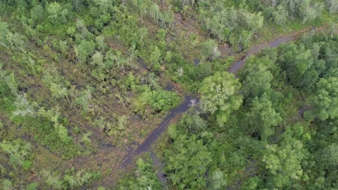 Flooding aftermath of Hurricane Elsa Stock Footage 156906277