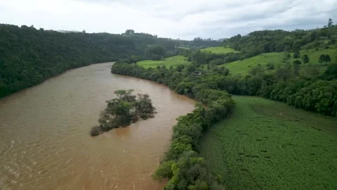 Flooding of the Chapecó River, submerged trees, soybean crop. Drone footage. Stock Footage 332260467