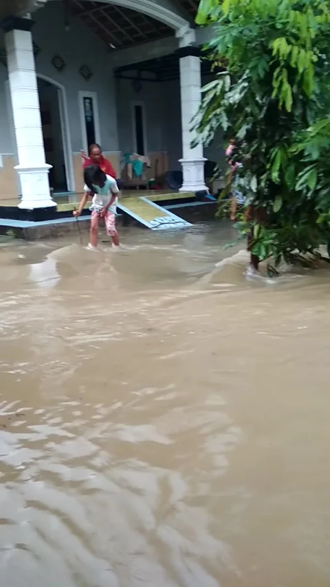 Flooding in the countryside Stock Footage 219373787