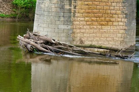 Flooding Debris . Stock Photos