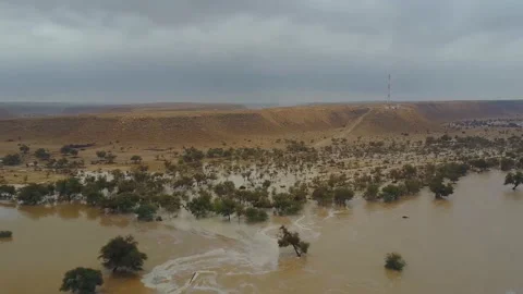 Flooding in a deserted mountainous area, mud flows of water. Saudi Arabia Stock-Footage 106916388