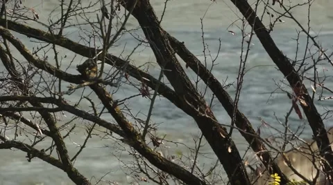 Flooding Stock Footage 50882626