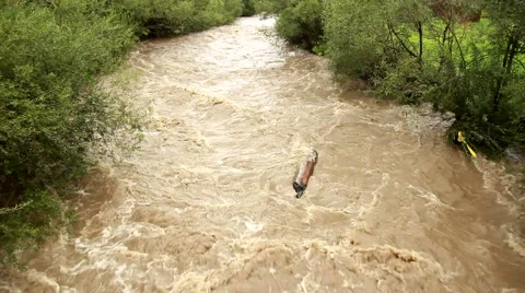 Flooding in the mountains Stock-Footage 43225403