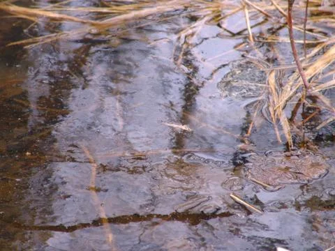 Flooding Stock Photos