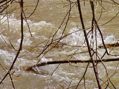 Flooding Stock Photos