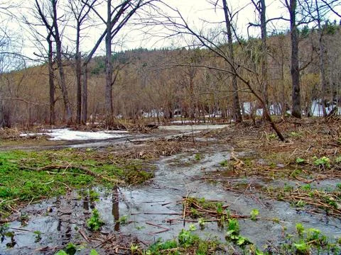 Flooding Stock Photos