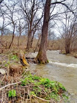 Flooding Stock Photos