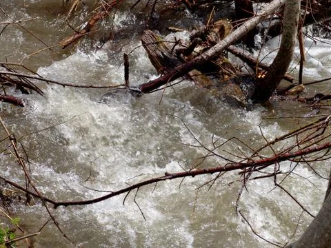 Flooding Stock Photos