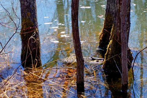 Flooding Stock Photos
