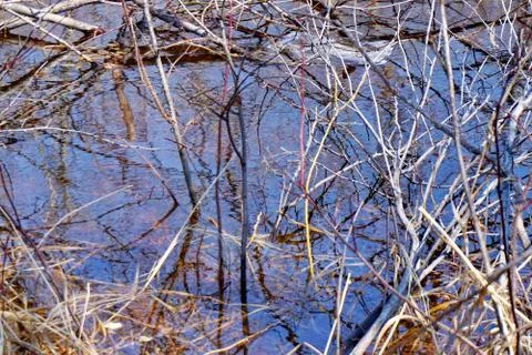 Flooding Stock Photos