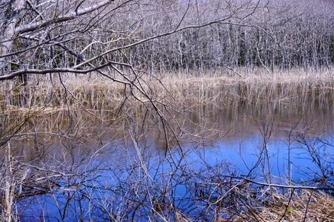 Flooding Stock Photos