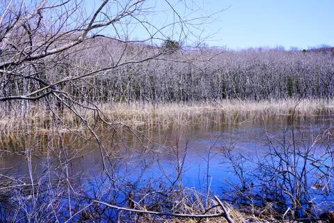 Flooding Stock Photos