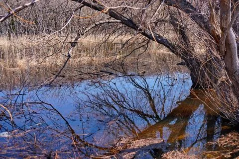 Flooding Stock Photos