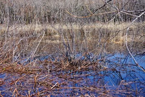 Flooding Stock Photos