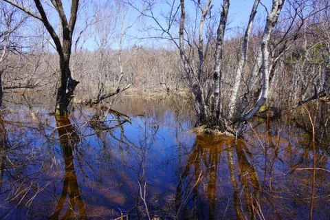 Flooding Stock Photos