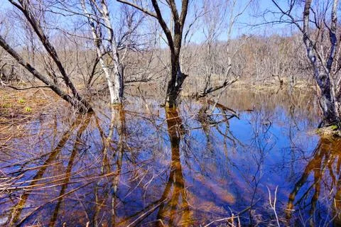 Flooding Stock Photos
