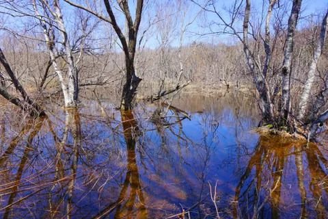 Flooding Stock Photos