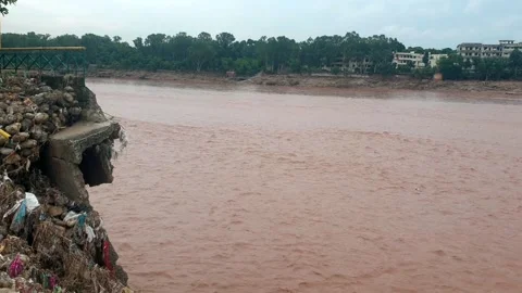 Flooding in the river due to heavy rainfall Stock Footage 315969075