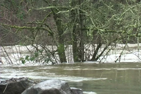 Flooding river Stock-Footage 306525