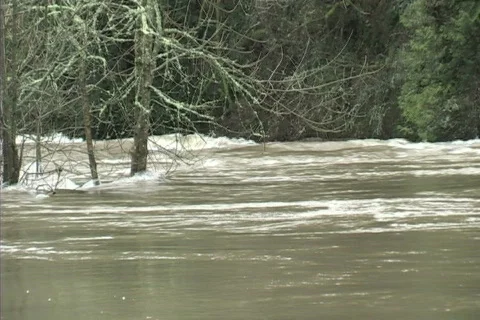 Flooding river 库存影片 306528