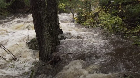 Flooding river Stock Footage 100137719