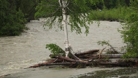 Flooding river Video stock 263850445