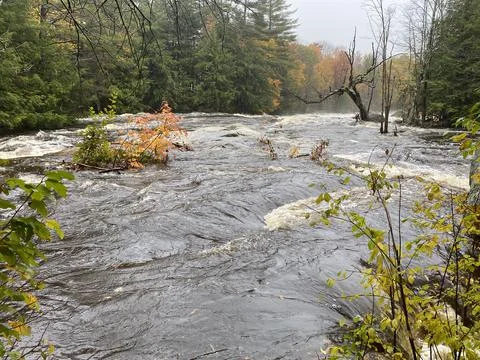 Flooding River Stock Photos