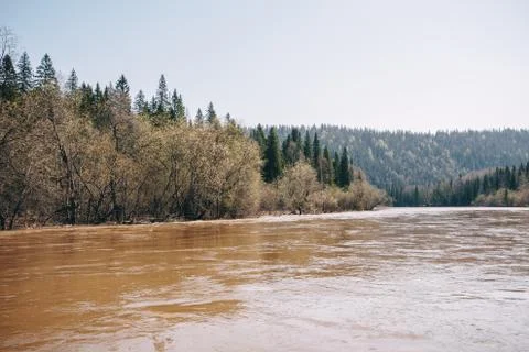 Flooding of river in spring after fast melting of snow. Flood in forest. Stock Photos