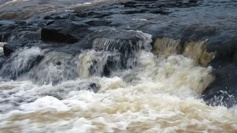 Flooding on the rough river 1 Stock Footage 80281171