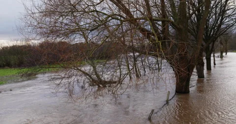 Flooding of a small brook Stock Footage 259728983