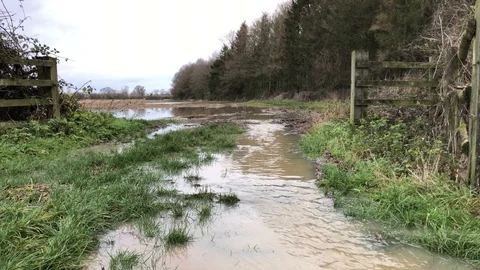 Flooding on UK farmland. Stock Footage