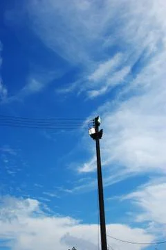 Floodlight , blue sky Stock Photos