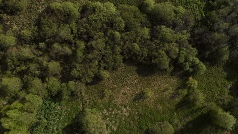 Floodplain Stock Footage 89672000