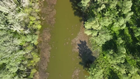 Floodplain Video stock 264095642