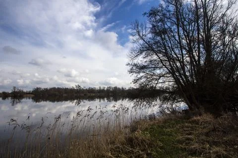 Floodplain landscape in Pannerden Stock Photos