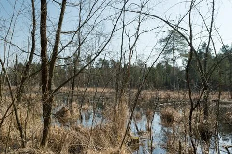 Floodplain Stock Photos