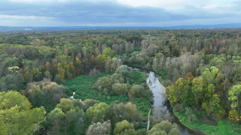 Floodplain river delta autumn fall color meander drone aerial inland video shot Stock Footage 263010940