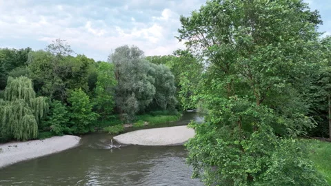 Floodplain river Morava meander drone aerial video shot delta in inland forest Stock Footage 277157947