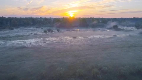 Floodplain of the river Prypyat in spring Stock Footage 112767334