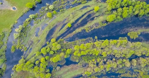 Floodplain of the river Prypyat in spring Stock Footage 112767388