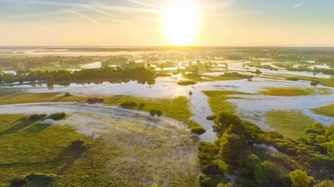 Floodplain of the river Prypyat in spring Stock Footage 114773639