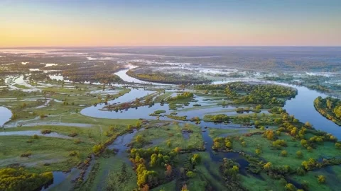 Floodplain of the river Prypyat in spring Stock Footage 130461030