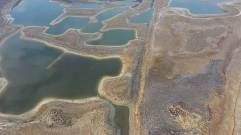 In the floodplain of the river there are many small lakes overgrown with reeds. Stock Footage 125444579