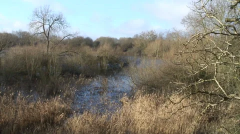 Floods-02 Stock Footage 34248290