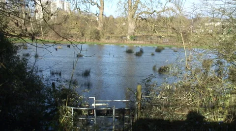 Floods-03 Stock-Footage 34248307