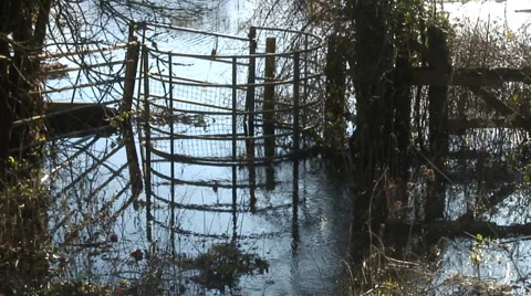 Floods-05 Video stock 34248361