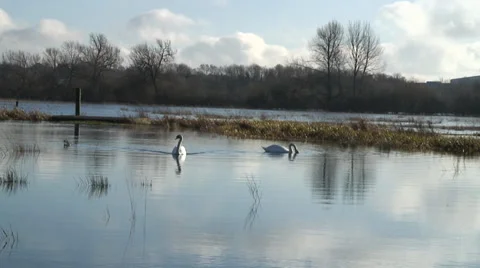 Floods-09a Stock-Footage 34248354